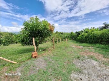 Venta Finca Montenegro Quindio COD: 7009206