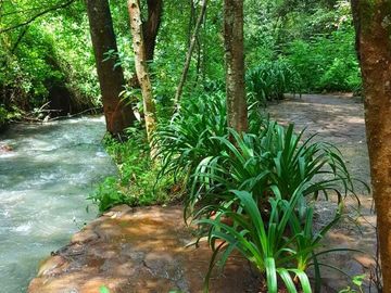 Venta Hermoso Terreno campestre en CLUB ECOLOGICO RIO BELO EN ESQUINA