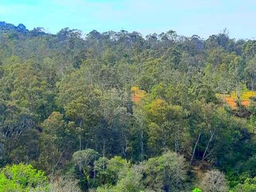 Venta Hermoso Terreno campestre en CLUB ECOLOGICO RIO BELO EN ESQUINA