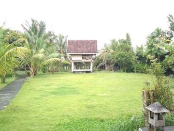 Rumah Mewah Kayu Jati Kuno Istimewa Tanah Luas Jln Palagan