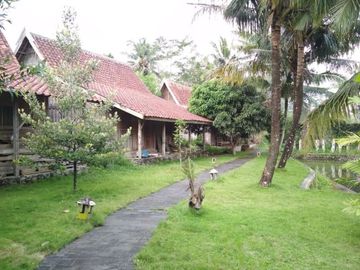 Rumah Mewah Kayu Jati Kuno Istimewa Tanah Luas Jln Palagan
