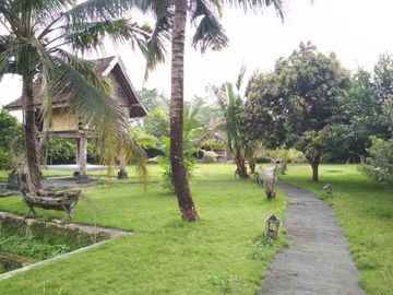 Rumah Mewah Kayu Jati Kuno Istimewa Tanah Luas Jln Palagan