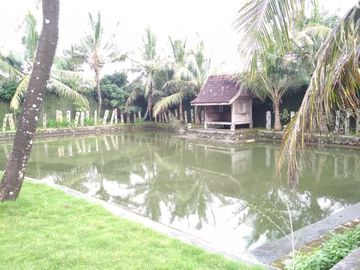 Rumah Mewah Kayu Jati Kuno Istimewa Tanah Luas Jln Palagan