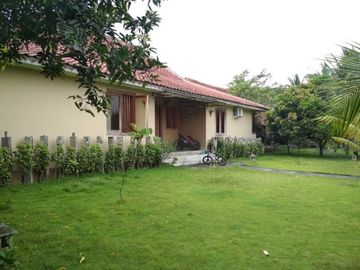 Rumah Mewah Kayu Jati Kuno Istimewa Tanah Luas Jln Palagan