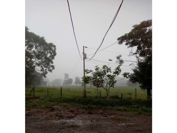 VENDO 170 HECTAREAS LECHERIA BOQUERON