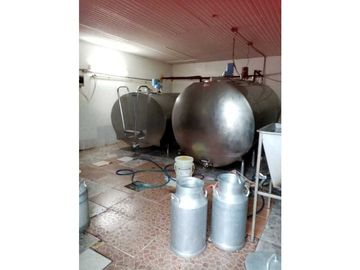 VENDO 170 HECTAREAS LECHERIA BOQUERON
