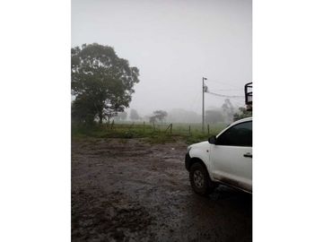VENDO 170 HECTAREAS LECHERIA BOQUERON