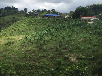 FINCA