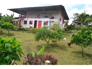 FINCA