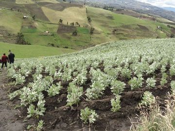 Hacienda de venta en Cayambe