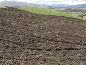 Hacienda de venta en Cayambe