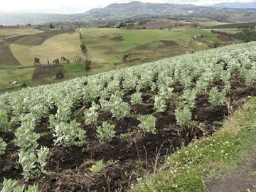 Hacienda de venta en Cayambe