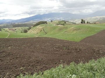 Hacienda de venta en Cayambe