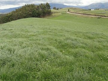 Hacienda de venta en Cayambe