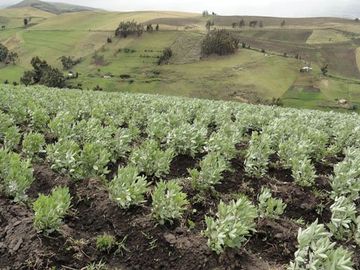 Hacienda de venta en Cayambe