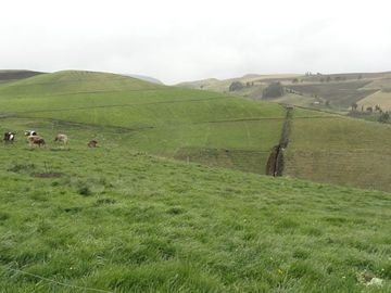 Hacienda de venta en Cayambe
