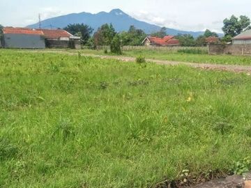 Kavling Kost 1 Jt-an Dekat Kampus IPB. Cicil 12x Non Bunga
