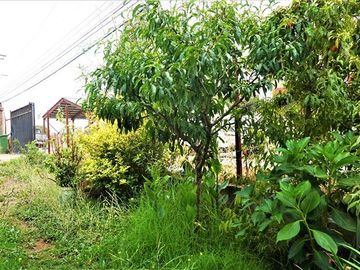 Casa en Venta en Ojos de Agua - Villa Alemana