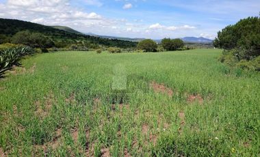 Terreno en Venta en Colonia Santo Tomas, Municipio de Zempoala, Hidalgo.