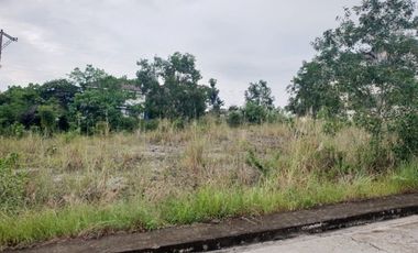 VISTA GRANDE- With SEAVIEW 163 Sqm Lot for Sale in Bulacao Talisay Cebu City