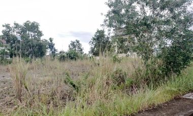 VISTA GRANDE- With SEAVIEW 163 Sqm Lot for Sale in Bulacao Talisay Cebu City