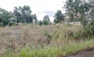 VISTA GRANDE- With SEAVIEW 163 Sqm Lot for Sale in Bulacao Talisay Cebu City