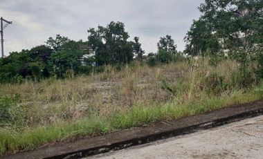 VISTA GRANDE- With SEAVIEW 163 Sqm Lot for Sale in Bulacao Talisay Cebu City