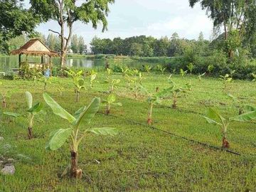 Land for sale in Saphan Sung, Bangkok