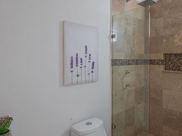 GRAN DEPARTAMENTO SANTO DOMINGO EN SAN MIGUEL DE ALLENDE E1