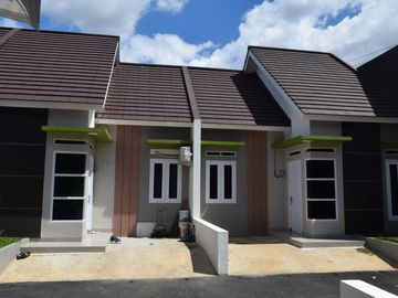 stock menipis buruan survey
