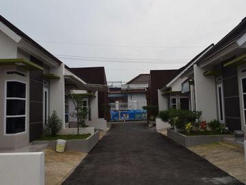 stock menipis buruan survey