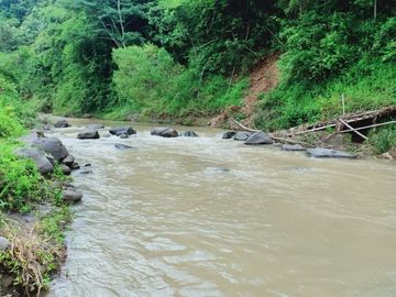 Tanah L: 2705m2 Sambirejo Sragen