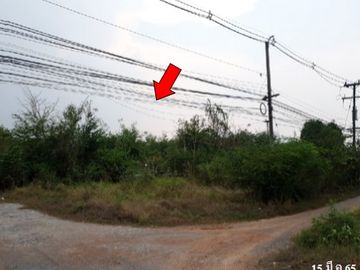 ทรัพย์ บสส. รหัส 8Z4930 โรงงาน/โกดัง  เลย