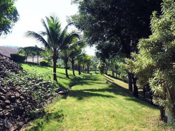 BEAUTIFUL RIVERSIDE LUXURY HOME AND TEAK PLANTATION WITH 140 METERS OF RIVERFRONT AND MOUNTAIN VIEWS!!!