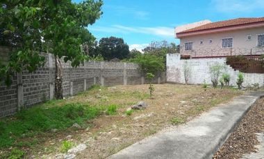 Last Remaining 174 Sqm Residential Lot for Sale in Basak Lapu-Lapu Cebu near Gaisano Grand Mall