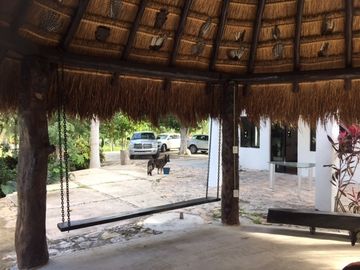 Rancho en VENTA  CON CENOTE  en Telchac Pueblo