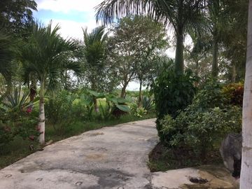 Rancho en VENTA  CON CENOTE  en Telchac Pueblo