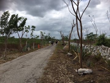 Rancho en VENTA  CON CENOTE  en Telchac Pueblo