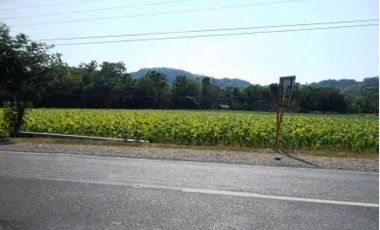 Rush Sale 5,656 Sqm Balaoan, La Union, Ilocos Farm Lot (SOLD)