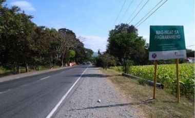 Rush Sale 5,656 Sqm Balaoan, La Union, Ilocos Farm Lot (SOLD)