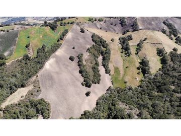 SE VENDE FINCA DE PRODUCCIÓN EN PARAMO ALTO COGUA