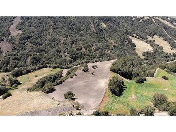 SE VENDE FINCA DE PRODUCCIÓN EN PARAMO ALTO COGUA