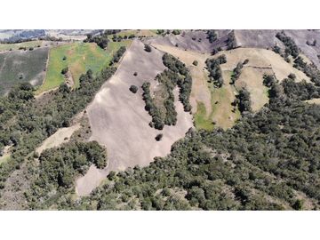 SE VENDE FINCA DE PRODUCCIÓN EN PARAMO ALTO COGUA