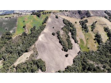 SE VENDE FINCA DE PRODUCCIÓN EN PARAMO ALTO COGUA