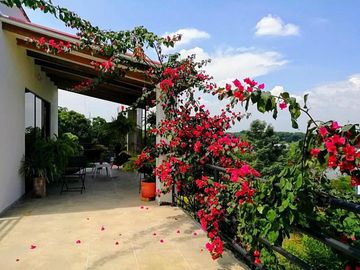casa en venta en alfaguara. Cod V151