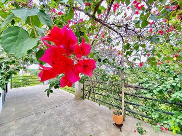 casa en venta en alfaguara. Cod V151