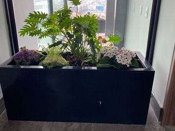 Venta  Balcones del Campestre Nueva