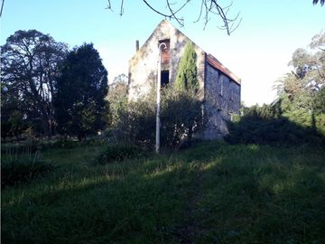 CAMPO 5 HA ARBOLEDAS AÑOSAS 2 PILETAS NATAC. COMPLEJO C/INSTALAC. Y VVDA APTAS VARIOS DESTINOS