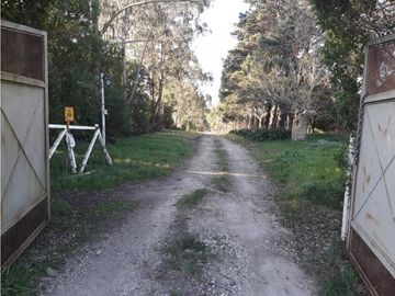 CAMPO 5 HA ARBOLEDAS AÑOSAS 2 PILETAS NATAC. COMPLEJO C/INSTALAC. Y VVDA APTAS VARIOS DESTINOS