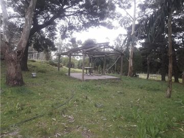 CAMPO 5 HA ARBOLEDAS AÑOSAS 2 PILETAS NATAC. COMPLEJO C/INSTALAC. Y VVDA APTAS VARIOS DESTINOS